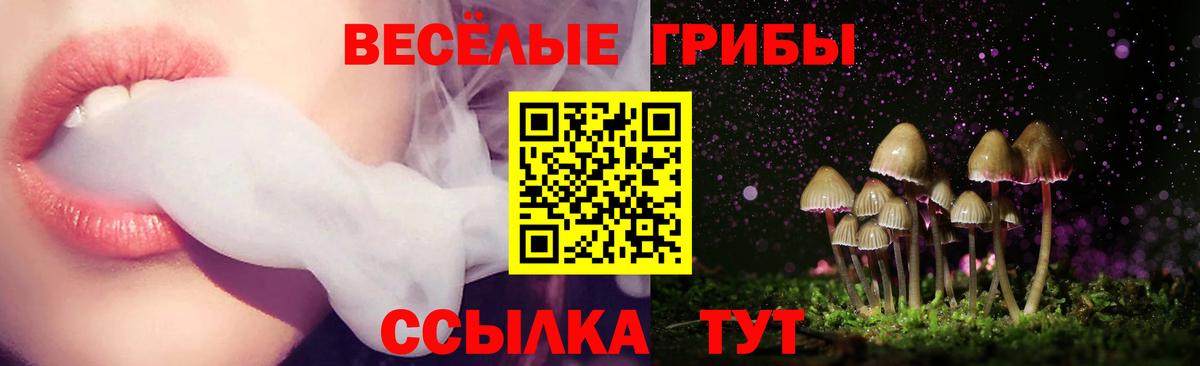 Галлюциногенные грибы MAGIC MUSHROOMS  Галлюциногенные грибы мухоморы  Вход с VPN  Славянск-на-Кубани 